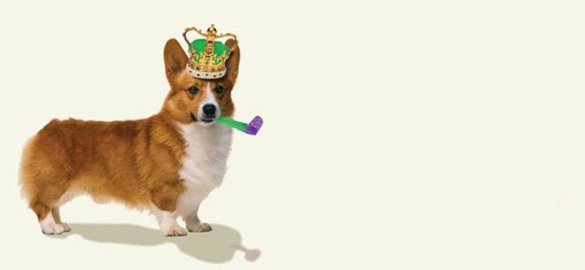 royal-wedding-dog-celebrating