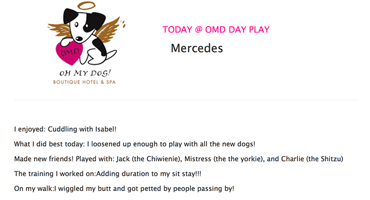 oh-my-dog-hotel-report-card