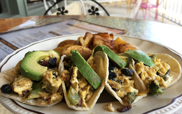 toasted-owl-breakfast-tacos