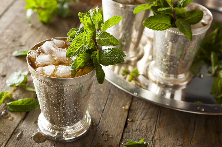 kentucky-derby-mint-julep