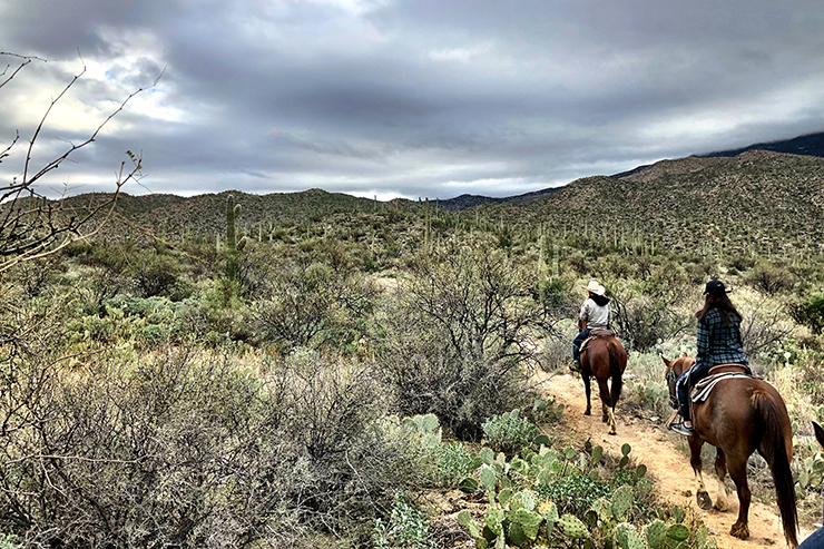 tanque-verde-ranch-horseback-ride