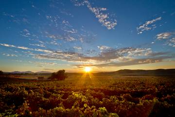 Sunset-in-Temecula's-Wine-Country