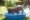 dog in pool