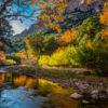 Where to See Fall Leaves in Arizona