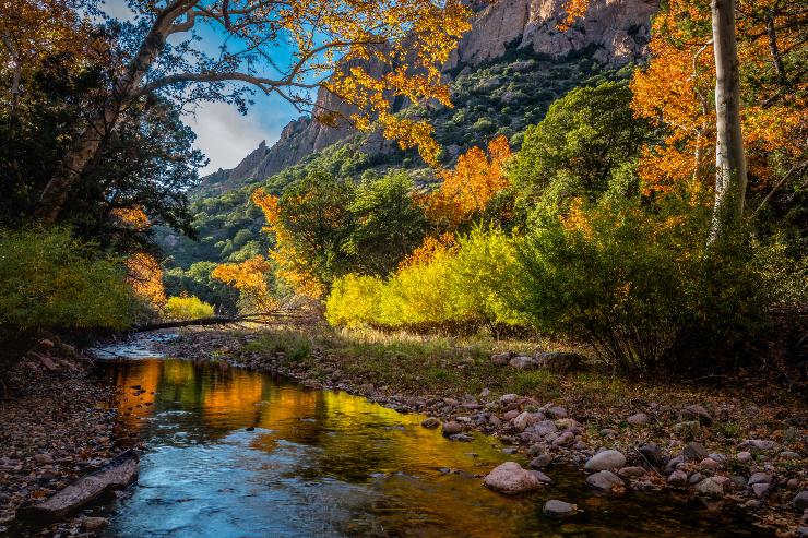 Where to See Fall Leaves in Arizona