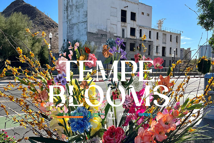 Tempe-Blooms