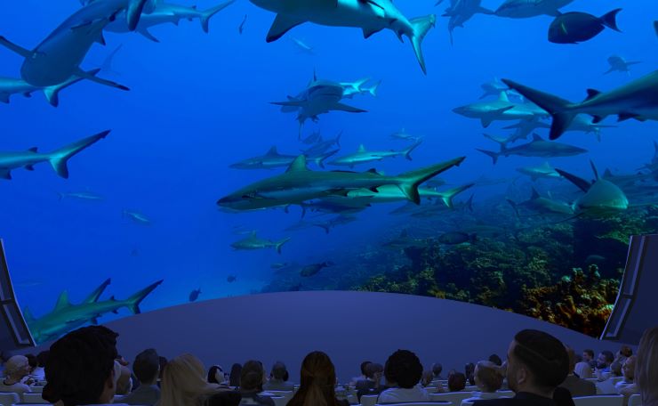 Dorrance Planetarium powered by Cosm Technology–Only at Arizona Science Center 05_Sharks