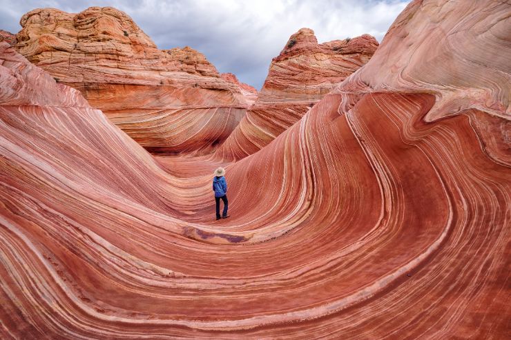 the wave arizona stock
