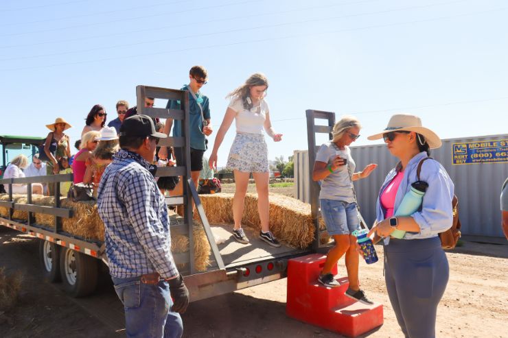 queen creek olive mill