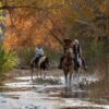 Circle Z Ranch