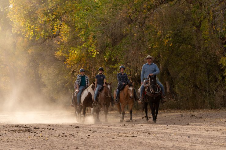 Circle Z Ranch